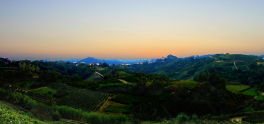 Piemonte Vinsmagning