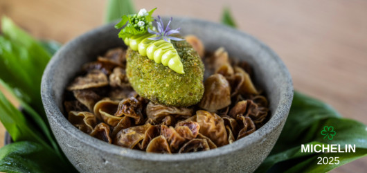Treetop Restauranten